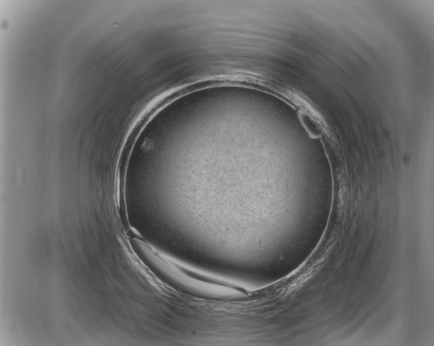 X0000085810940200703231332