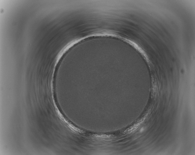 X0000085810943200703231332