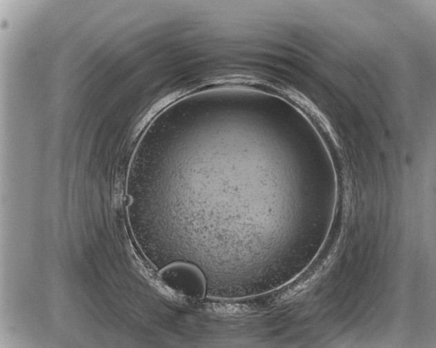 X0000085810945200703231332