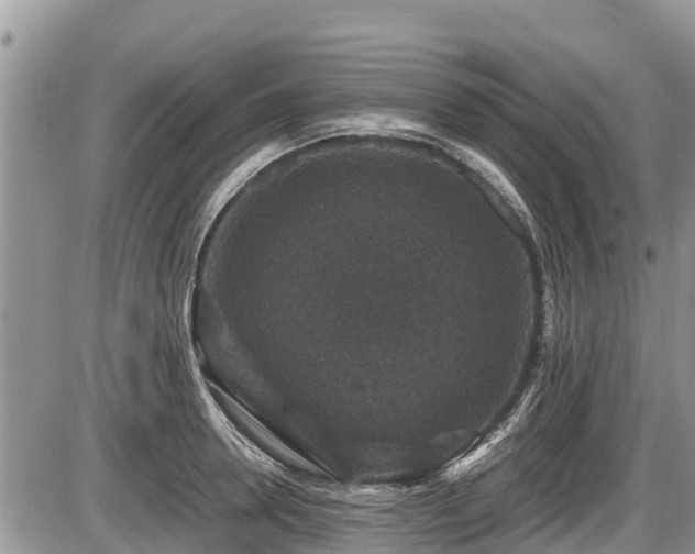 X0000085810946200703231332