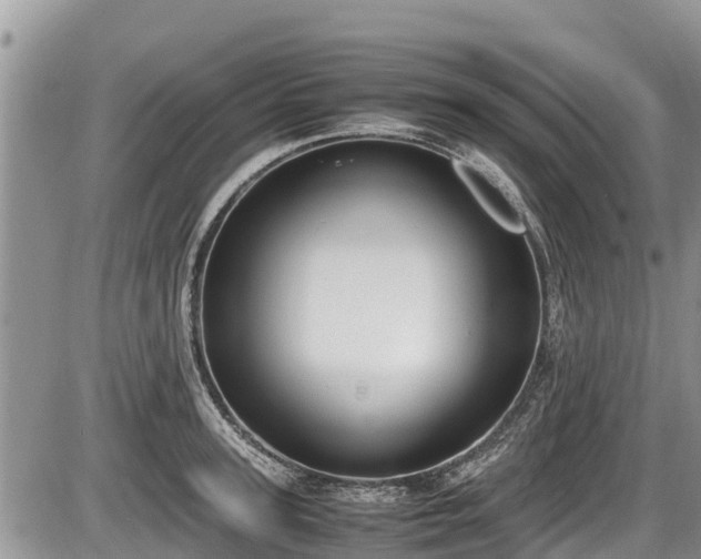 X0000085810947200703231332