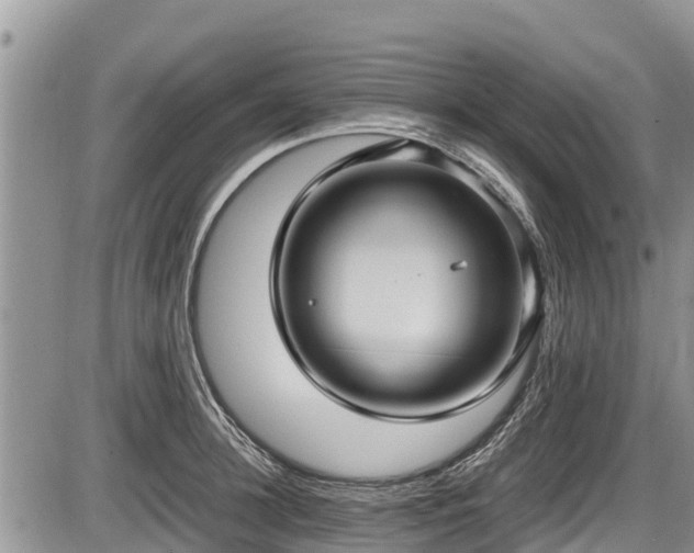 X0000085810948200703231332