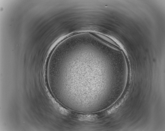 X0000085810949200703231332