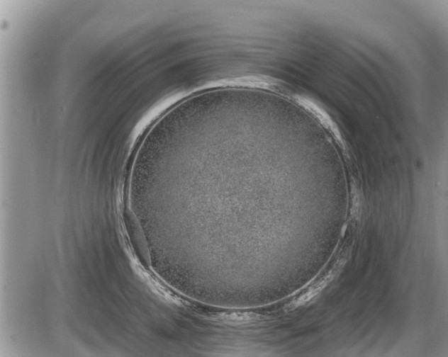 X0000085810952200703231332