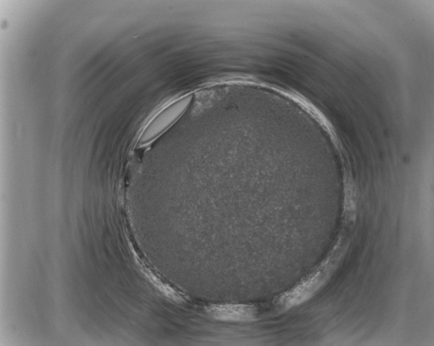 X0000085810953200703231332