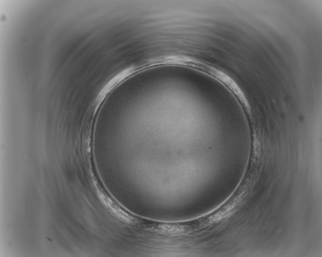 X0000085810954200703231332