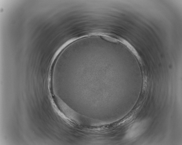 X0000085810955200703231332