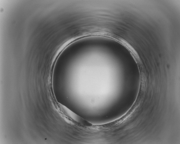 X0000085810956200703231332