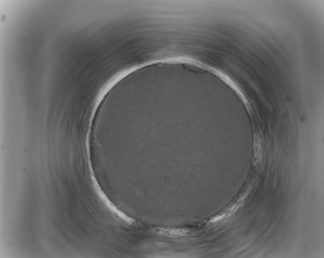 X0000085810959200703231332