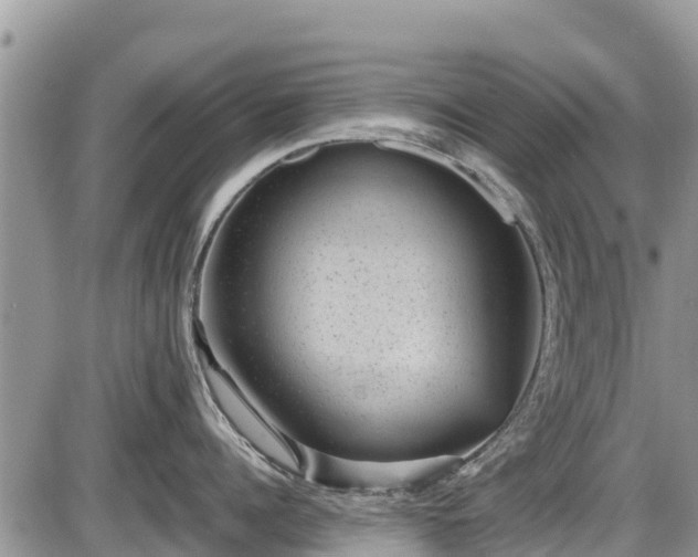 X0000085810960200703231332