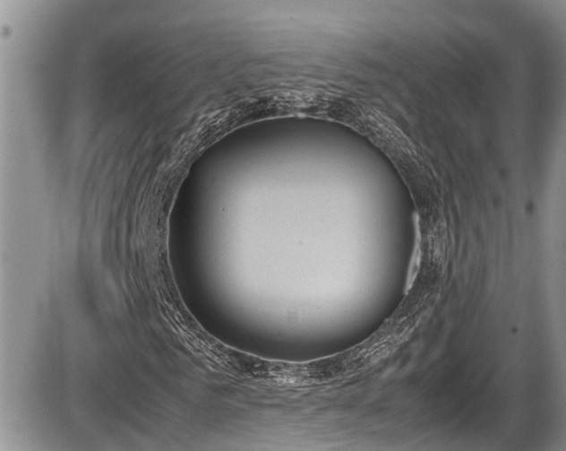 X0000085810961200703231331