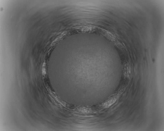 X0000085810962200703231331