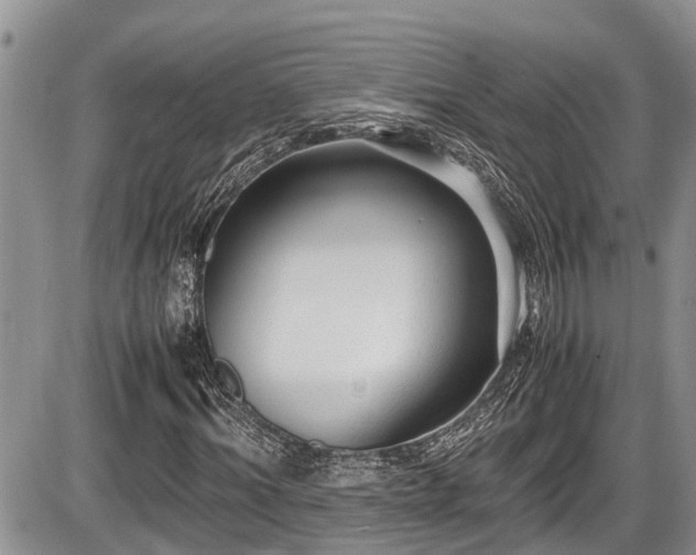 X0000085810964200703231331