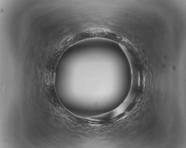 X0000085810965200703231331