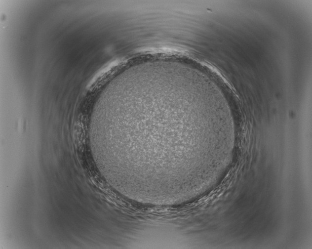 X0000085810967200703231331