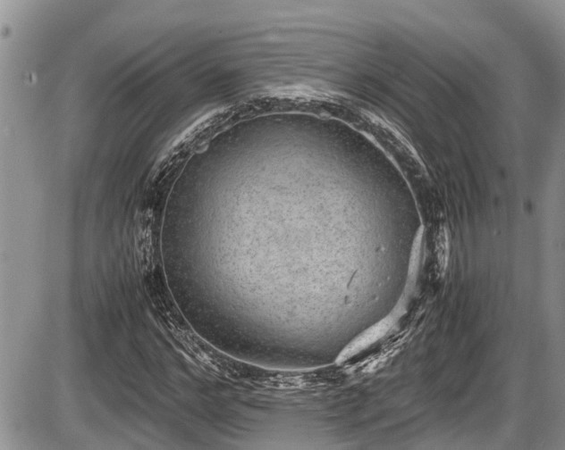 X0000085810968200703231331