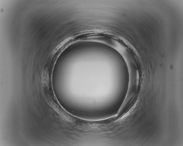 X0000085810969200703231331