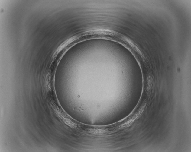 X0000085810970200703231331