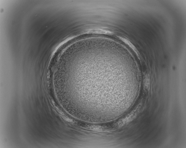 X0000085810971200703231331