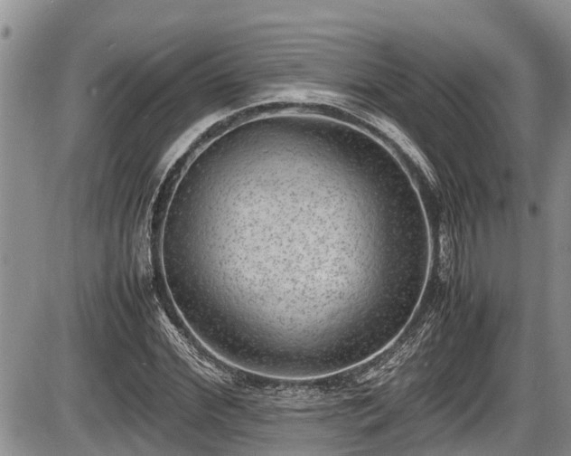 X0000085810972200703231331