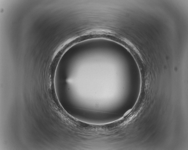 X0000085810973200703231331