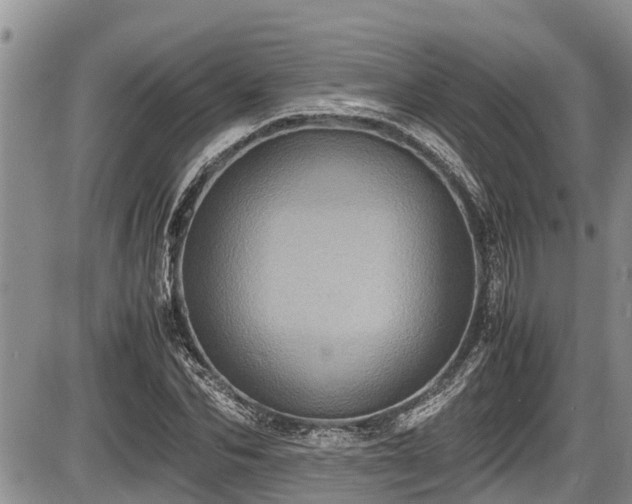 X0000085810974200703231331