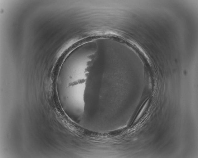 X0000085810975200703231331