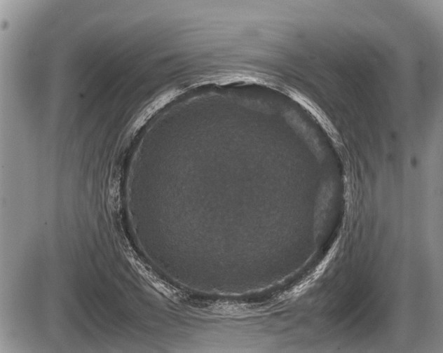 X0000085810977200703231331