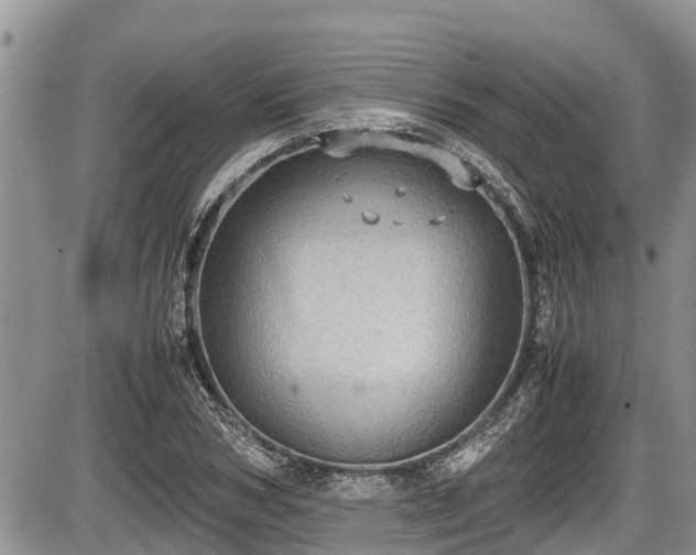 X0000085810978200703231331