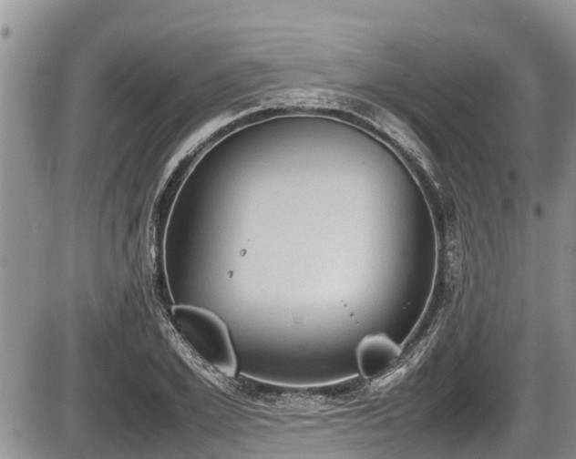 X0000085810981200703231331