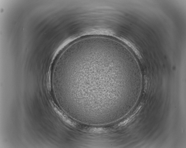 X0000085810982200703231331