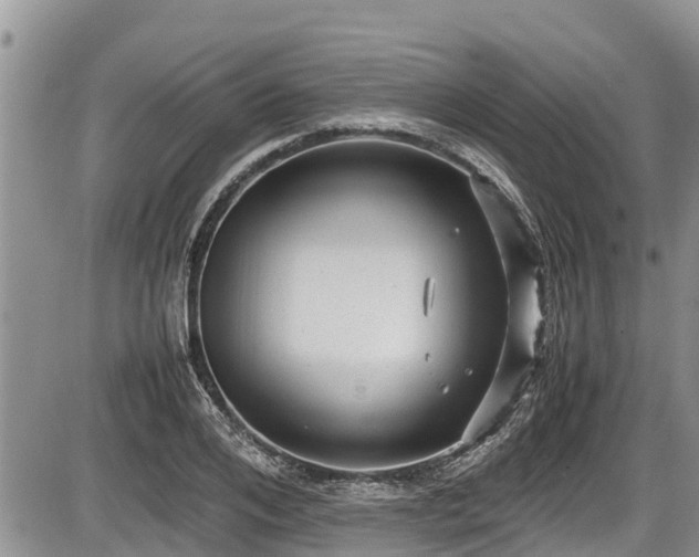 X0000085810984200703231331