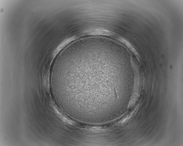 X0000085810986200703231331