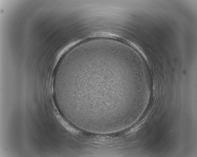 X0000085810987200703231331