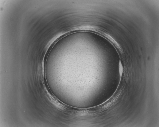 X0000085810988200703231331