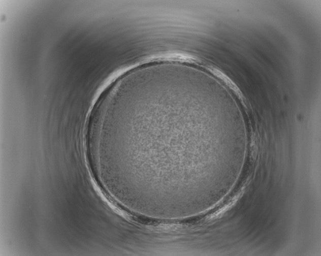 X0000085810989200703231331