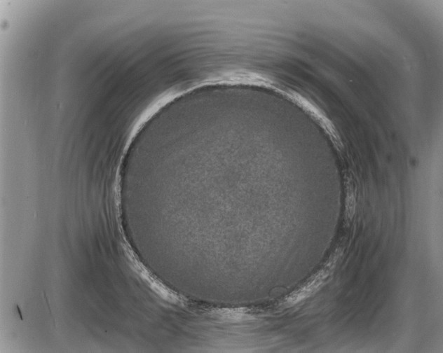 X0000085810990200703231331