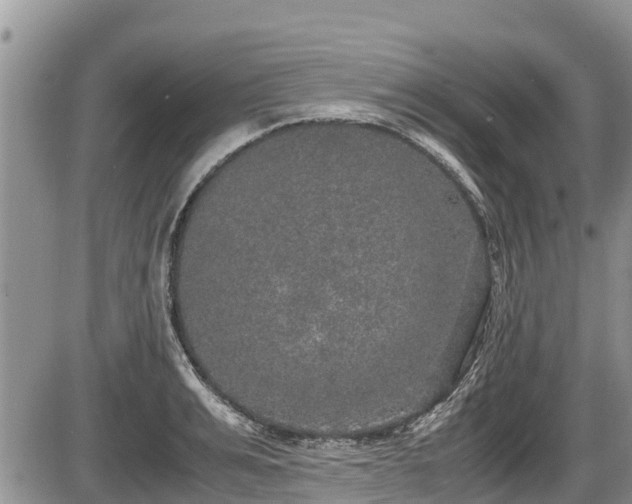 X0000085810991200703231331