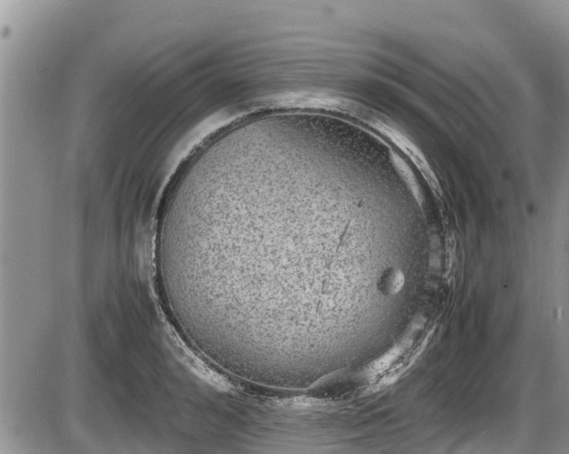 X0000085810992200703231331