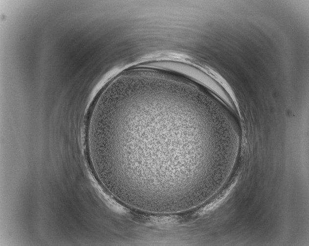 X0000085810997200703231331