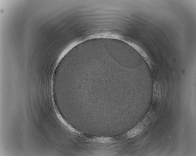 X0000085810998200703231331