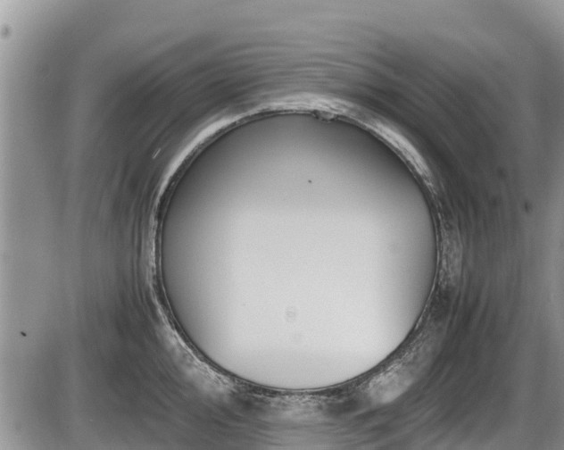 X0000085811000200703231331