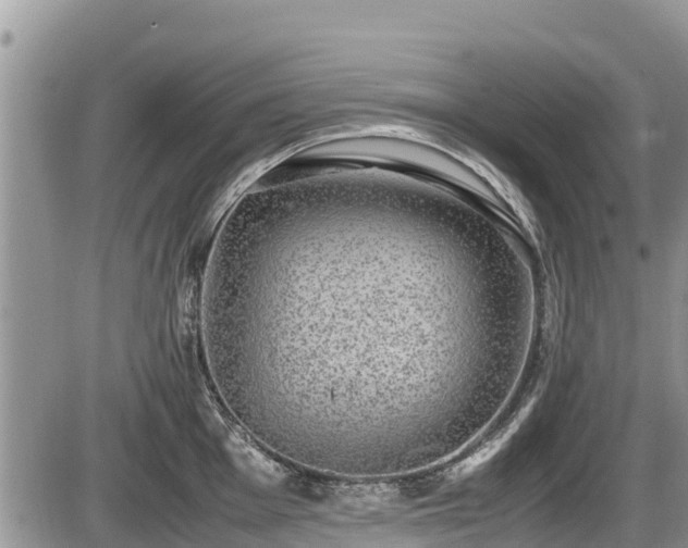 X0000085811001200703231331