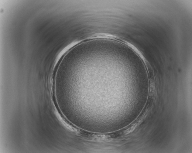 X0000085811003200703231331