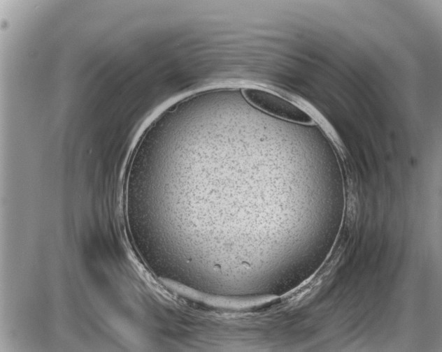 X0000085811004200703231331