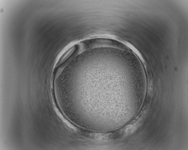 X0000085811005200703231331