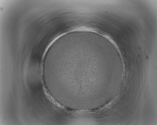 X0000085811008200703231331