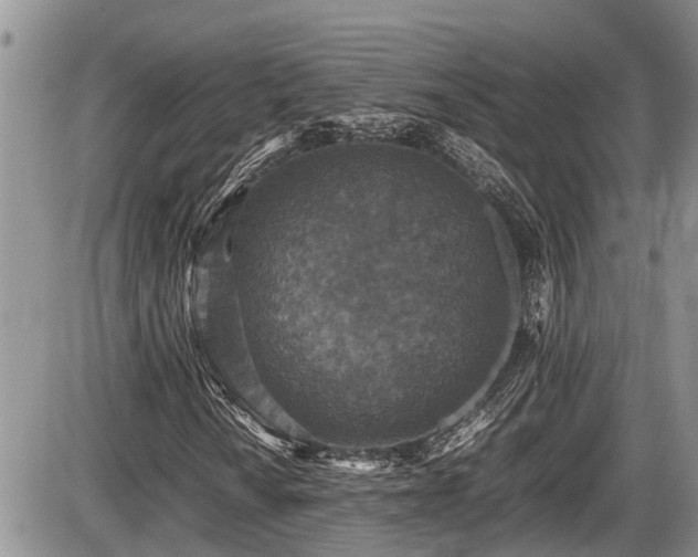 X0000085811010200703231330