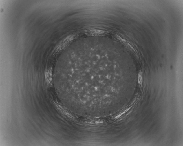 X0000085811011200703231330