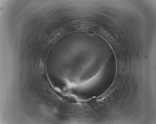 X0000085811013200703231330